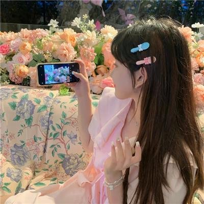 凤凰号